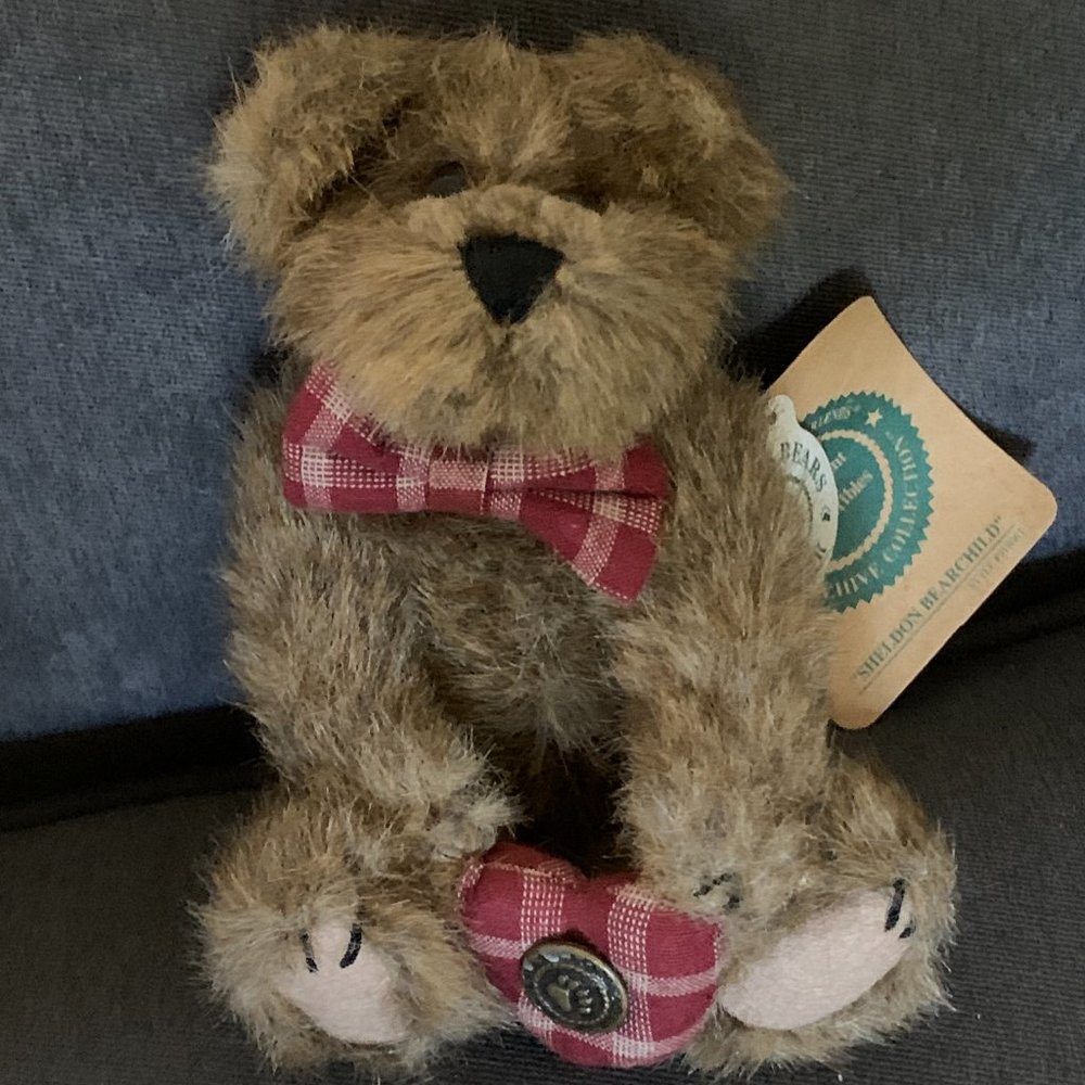 Boyds "Sheldon Bearchild" with tags - Picture 3 of 5